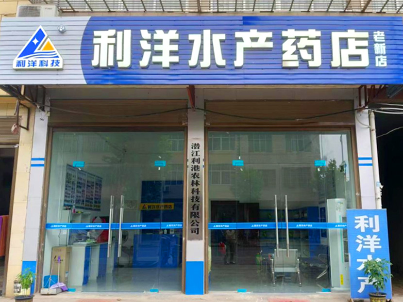 老新店